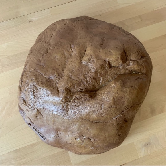 Reptile Habitat - Picture 7 of 12